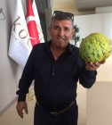 huseyin_solakci